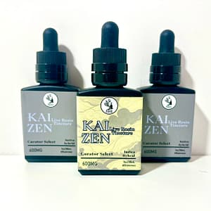 Nikka Kai Zen THC Tincture