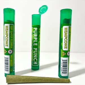 Bear Herbs Hemp Cone Preroll