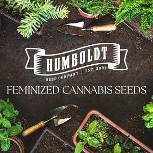 Humboldt Cannabis Seeds