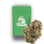 Super Jack (Mids Sativa)