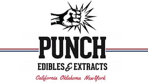 Punch Extracts Premium Shatter