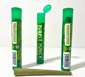 Bear Herbs Hemp Cone Preroll