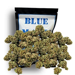 Blue Magic Oz