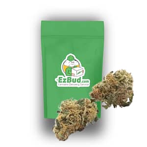 Purple Punch (Mids Indica)