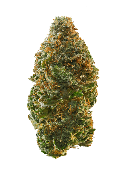 Cash 4 Gold (Premium Indica) - Image 2